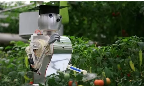 我国农用机器人研发走向一个新阶段