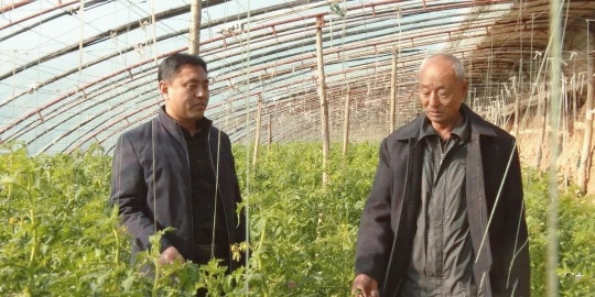 河北省阜城县蒋坊乡发展现代农业,促进农民增收