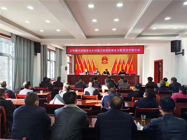 平利县林业局“我为群众办实事”实践活动取得阶段性成效(图1)