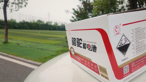 蓄电池市场仿冒乱象多发，骆驼蓄电池教消费者辨别正品电池